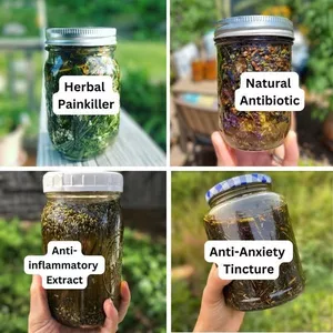 Imagen de portada para Ebook Mega Paquete