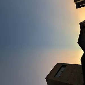 Imagen de portada para Curso online Mascotas 