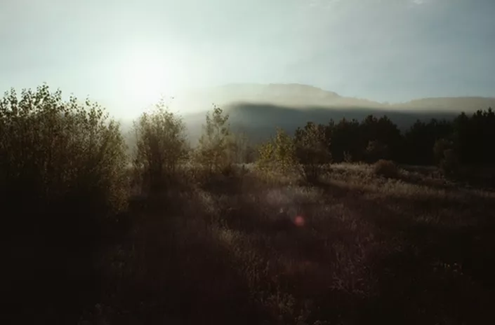 From Overwhelmed to Empowered: Finding Your Strength While Navigating Invisible Disabilities