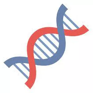 Imagen de portada para Curso online Código Oculto Gateway