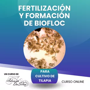 Imagen de portada para Curso online Formación de Biofloc para cultivo de Tilapia