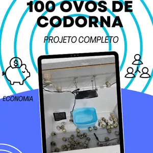 Imagem de capa para o Ebook CHOCADEIRA CASEIRA PARA 100 OVOS DE CODORNA