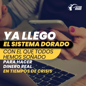 Imagen de portada para Curso online Sistema online 