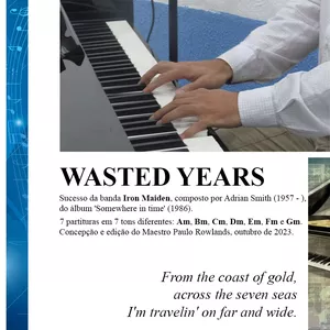 Imagem de capa para o Ebook PARTITURA de WASTED YEARS