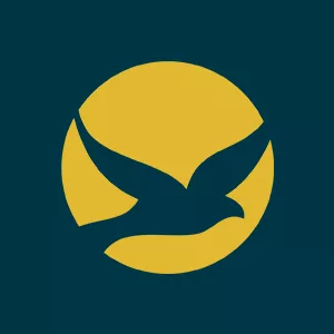 Imagem de capa para o Curso online VideoComShalom