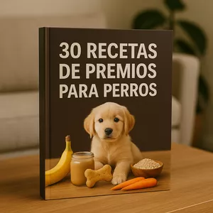 Imagen de portada para Curso online 30 recetas saludables de "premios" para tu mascota