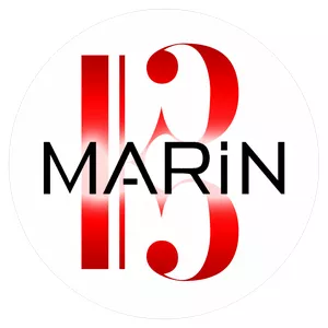 Imagem de capa para o Curso online VIP MSI: Música sem instrumento (teoria do zero) aula com atendimento