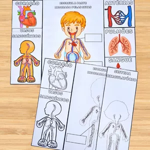 Imagem de capa para o Ebook LAPBOOK SISTEMA CIRCULATÓRIO 📝🫀