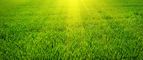 How To Start & Grow A Profitable Lawn & Landscape Business