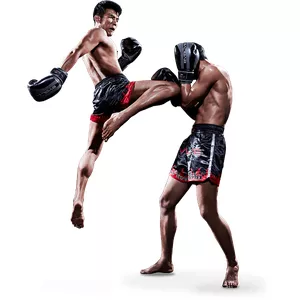 Imagen de portada para Curso online Curso de Muay Thai 