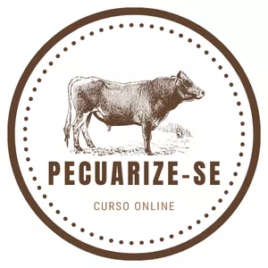 Imagem de capa para o Curso online Pecuarize-se