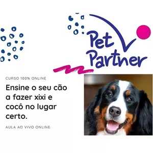 Imagem do curso Ensine o seu cão a fazer xixi e cocô no lugar certo.