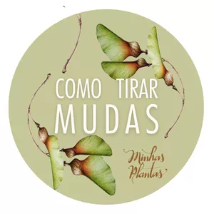 Imagem de capa para o Curso online Como Tirar Mudas – com Carol Costa