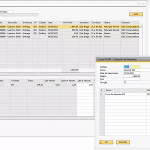 Imagem do curso Desmistificado a criação de add-on para SAP Business One com C# e B1Studio integrado com Visual Studio