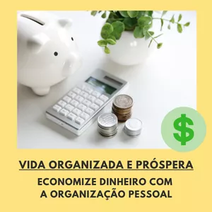 Imagem do curso Vida próspera e organizada