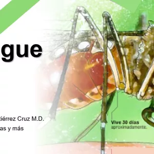 Imagen de portada para Curso online Dengue un reto para tomar la decisión segura