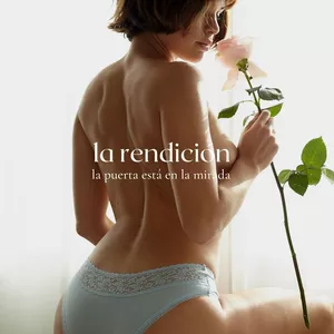 Imagen de portada para Curso online la rendición IV
