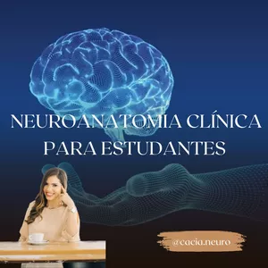 Imagem de capa para o Curso online Neuroanatomia clínica para estudantes