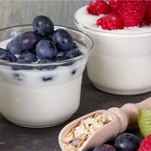 Imagem de capa para o Curso online Curso de Iorgute Caseiro