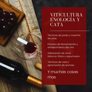 Imagen de portada para Ebook  Viticultura enología y cata 