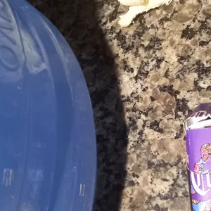 Imagem de capa para o Curso online Pnz sip