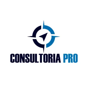 Imagem de capa para o Serviço online Consultoria PRO