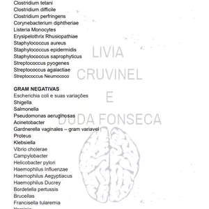 Imagen de portada para Ebook CUESTIONARIO MICROBIOLOGIA - BACTÉRIAS