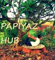 Papiyaz School logo