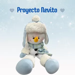 Imagen de portada para Ebook Proyecto Nevito