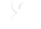 Avnir University