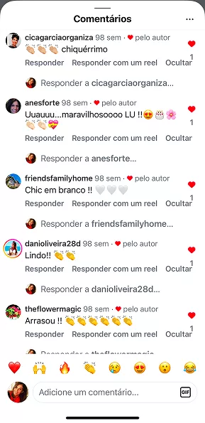 O que as clientes dizem, recomendações e testimonials do Curso Meu Primeiro Zoológico - Modele 25 Animais em Pasta Americana no Instagram