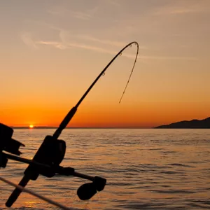 Imagem de capa para o Ebook Aprenda a Arte da Pesca do Papa-Terra: Um Guia Completo