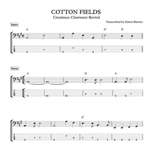Cover image for Ebook COTTON FIELDS (Creedence) Bass Transcription, Score &amp; Tab Lesson