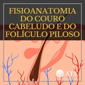 Imagem de capa para o Curso online Fisioanatomia do couro cabeludo e do folículo pilosos