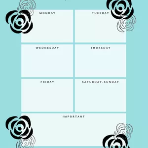 Cover image for Online course Weekly and Daily Planner