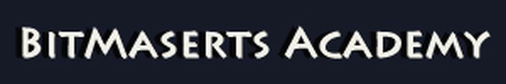 Bit Masters Academy logo