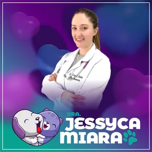 Imagem de capa para o Curso online Montando e Administrando PETHOTEL  de Sucesso!!!