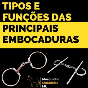 Imagem de capa para o Curso online  Embocaduras na Prática