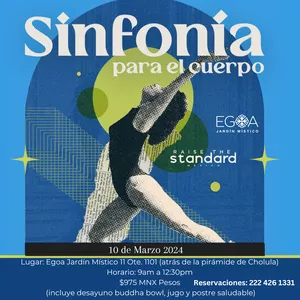 Imagen de portada para Curso online Sinfonía para el cuerpo