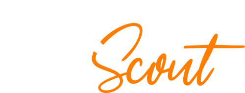Excel Scout