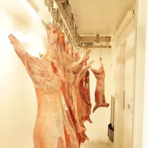 Imagem de capa para o Curso online Guia Completo para Comercialização de Carnes