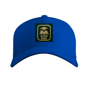 Imagem de capa para o Curso online Boné Prime com Tela EAD PHR 