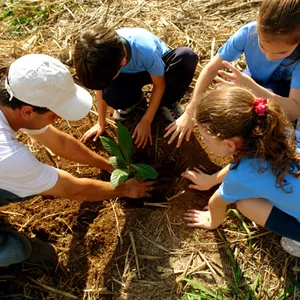 Imagem do curso Cidadania Ambiental e Planetária