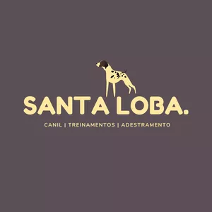 Imagem de Curso de Adestramento Canino - Aprenda a Educar o seu Cão!  criado por Adestramento Canino Canil Santa Loba na hotmart