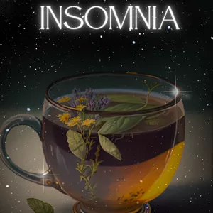 Cover image for Ebook Insomnia
