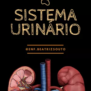 Imagem de capa para o Ebook sistema urinário