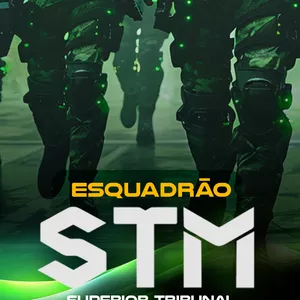 Imagem de capa para o Curso online STM - Cargo 2