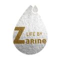 zarinebharda logo