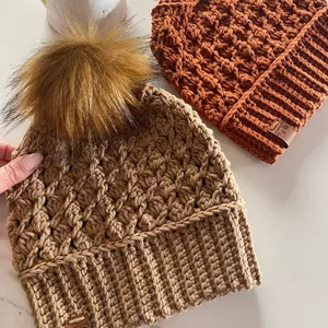 Imagem de capa para o Curso online Curso GORRO AVELÃ
