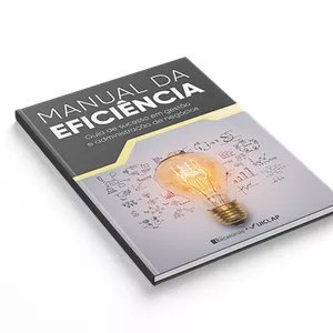Imagem de capa para o Curso online MANUAL DA EFICIÊNCIA: Guia de sucesso em gestão e administração de negócios